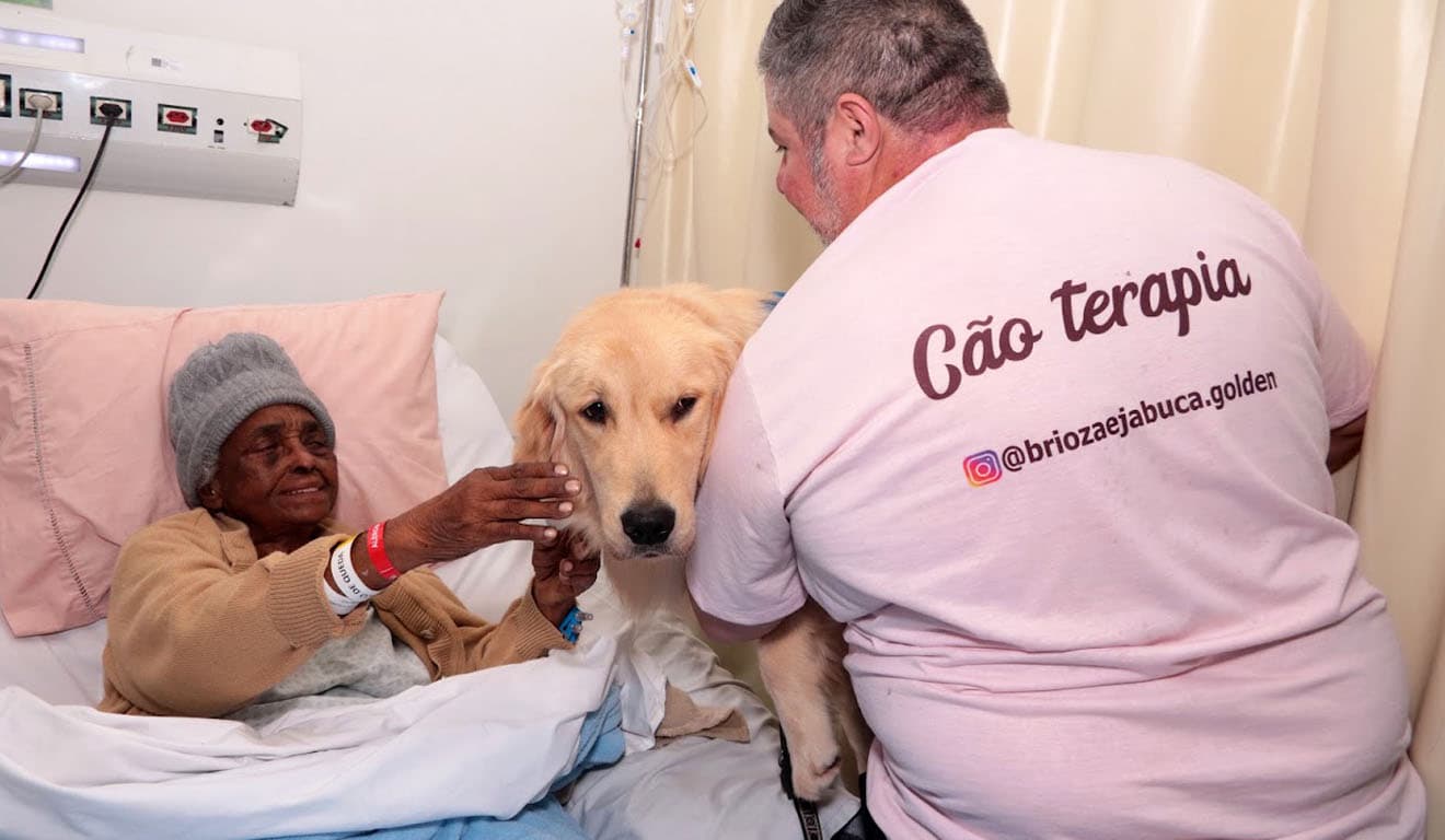 Cães terapeutas visitam pacientes no Hospital dos Estivadores