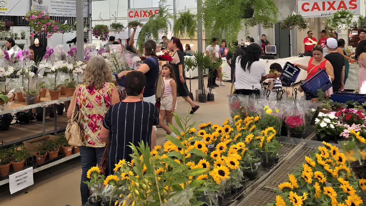 Festival de Flores e do Morango chega a Campinas