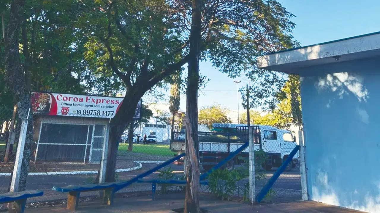 Rio Claro remove 17 árvores com risco de queda