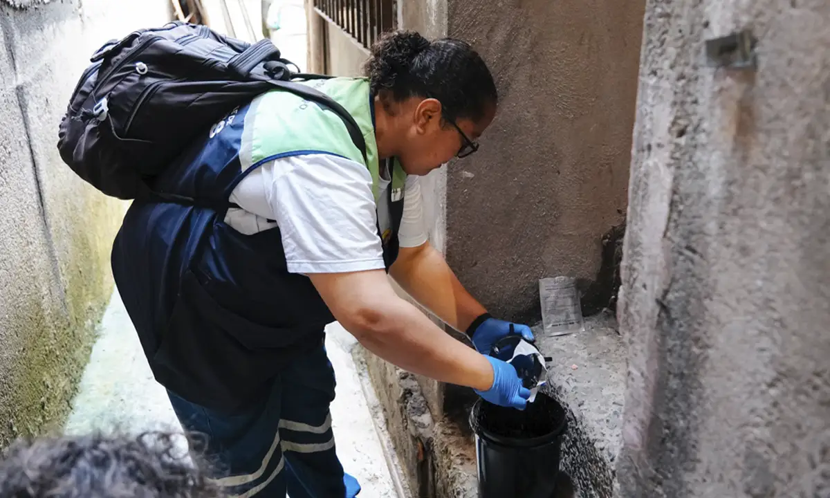 São Bernardo recebe 500 armadilhas biológicas contra dengue