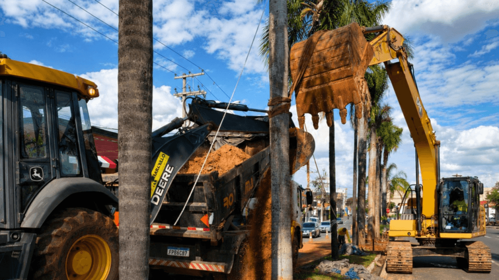 Treze palmeiras são plantadas em avenida de Limeira