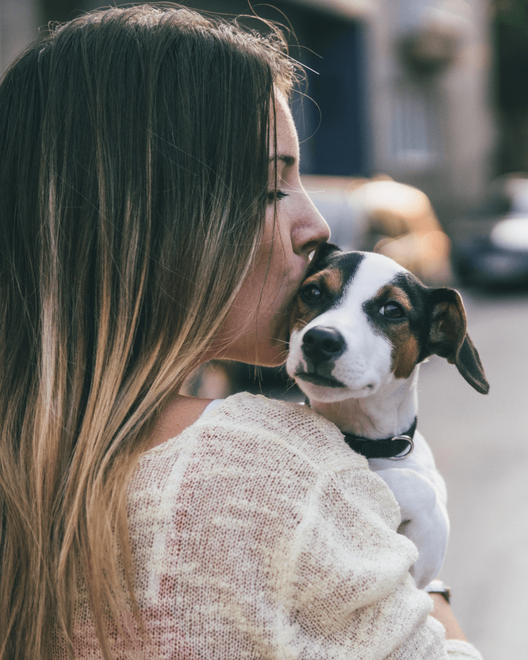 Mongaguá regulamenta cremação de animais de estimação