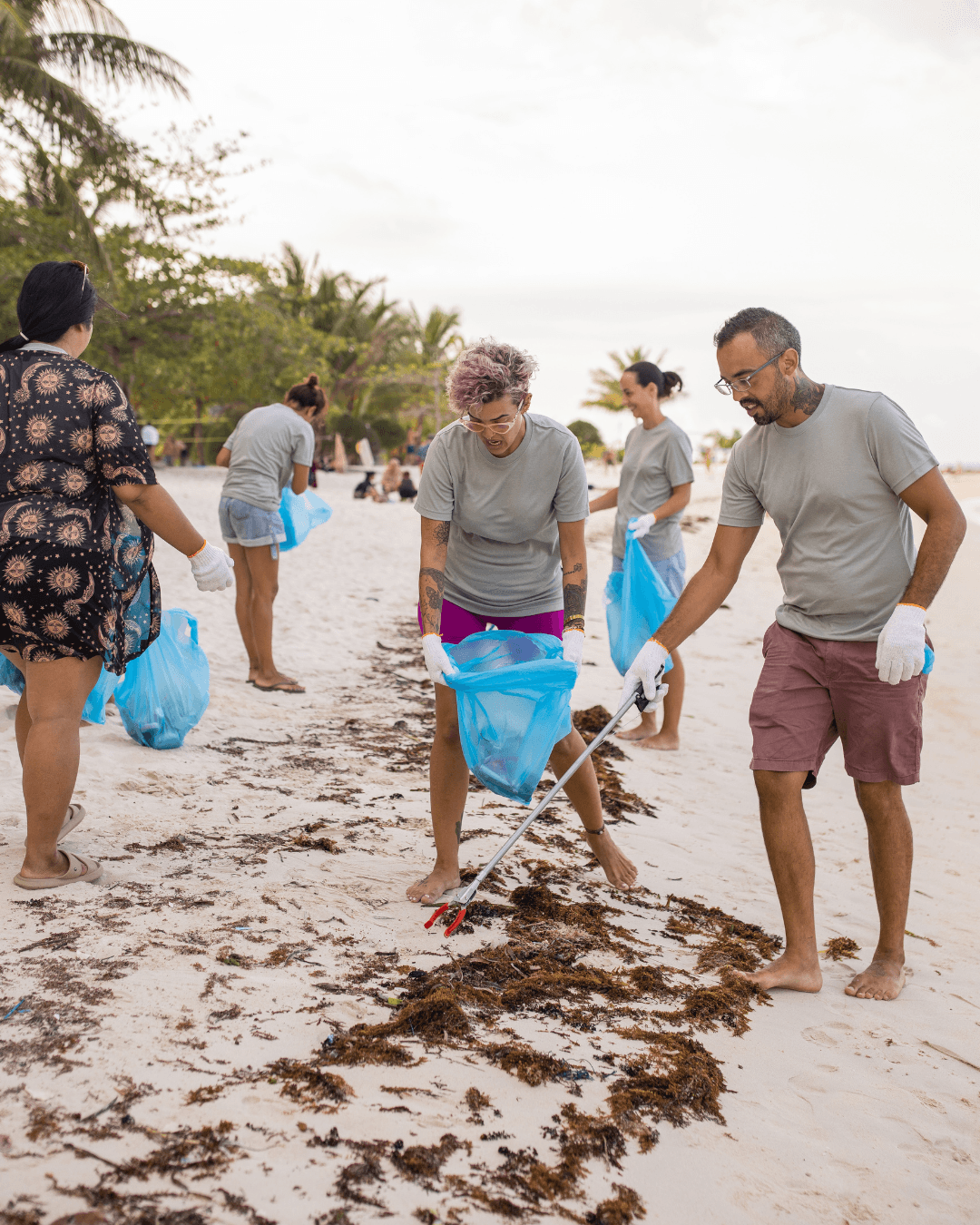Praia Grande promove mutirões de limpeza