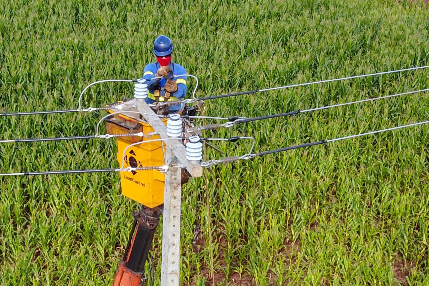 Furto de energia causa prejuízo de R$ 640 mil