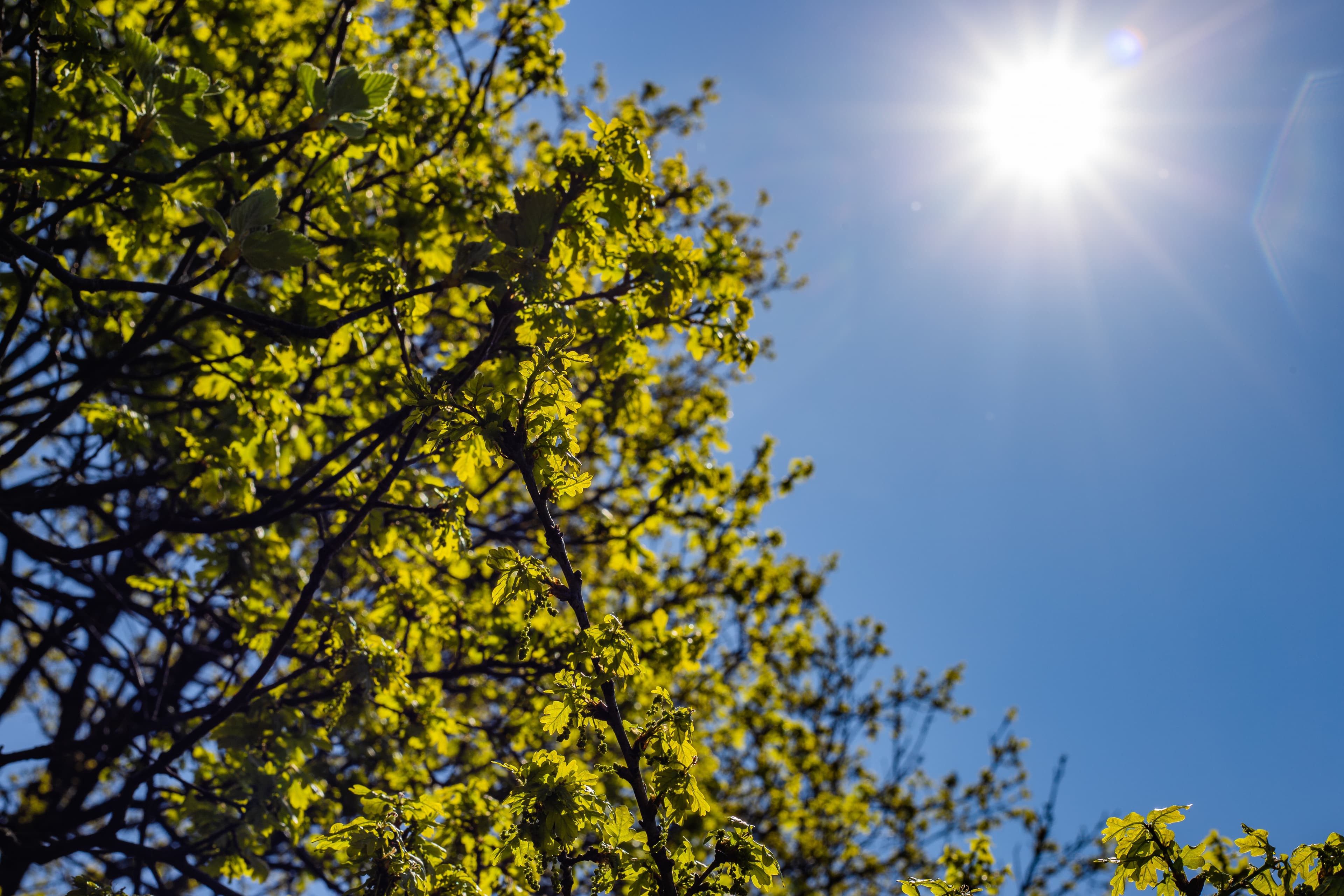 Defesa Civil alerta para calor extremo em Prudente