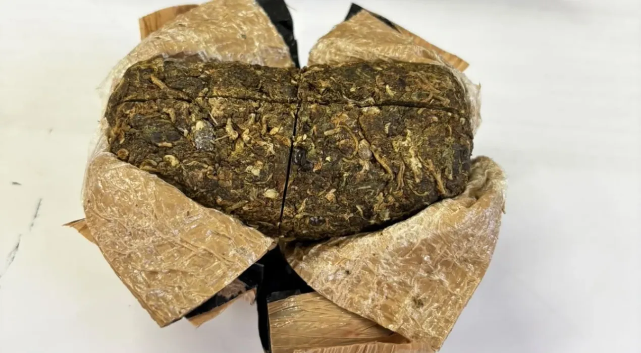 Mulher detida por tentar entrar com drogas