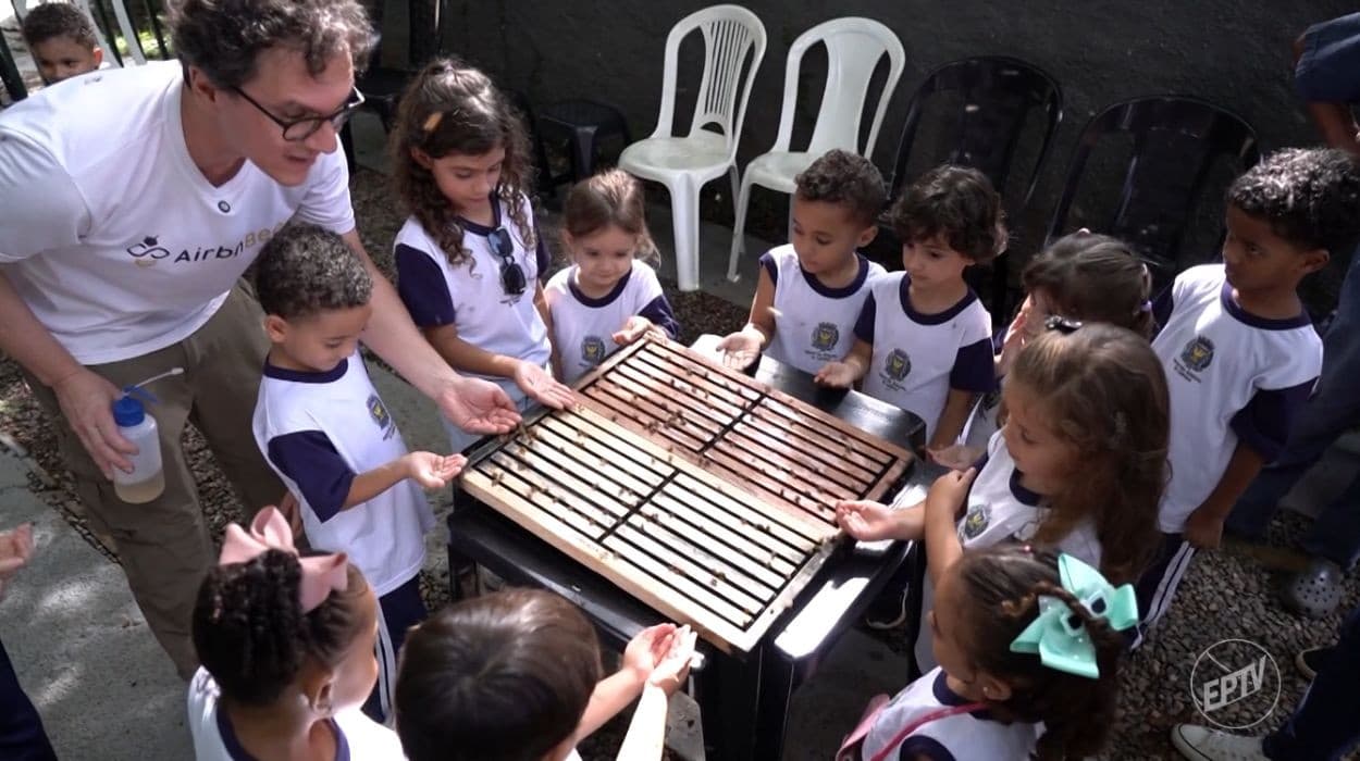 Biólogo cria abelhas sem ferrão e educa crianças