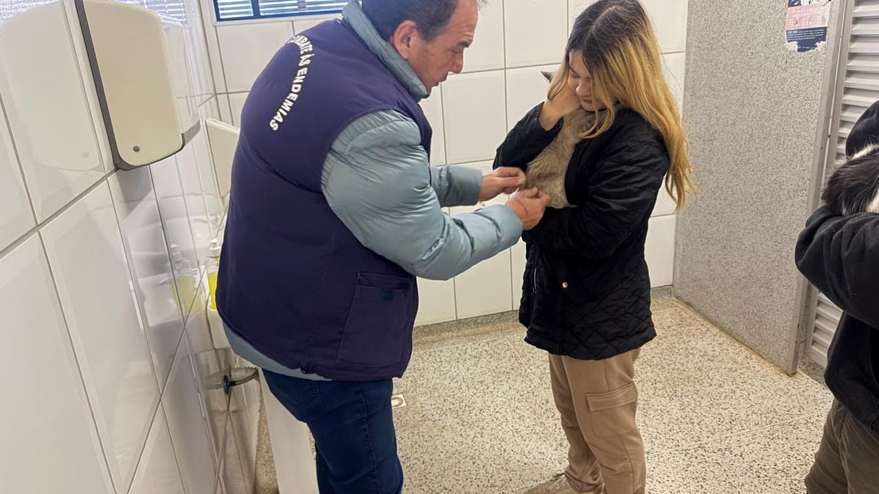 Vacinação antirrábica gratuita chega à zona leste