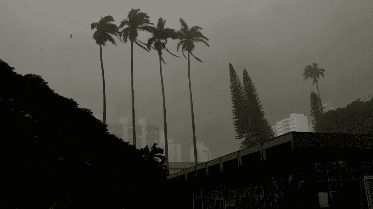 Campinas em alerta para ventos fortes