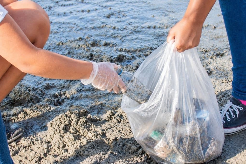 São Vicente realiza limpeza na Ilha Porchat